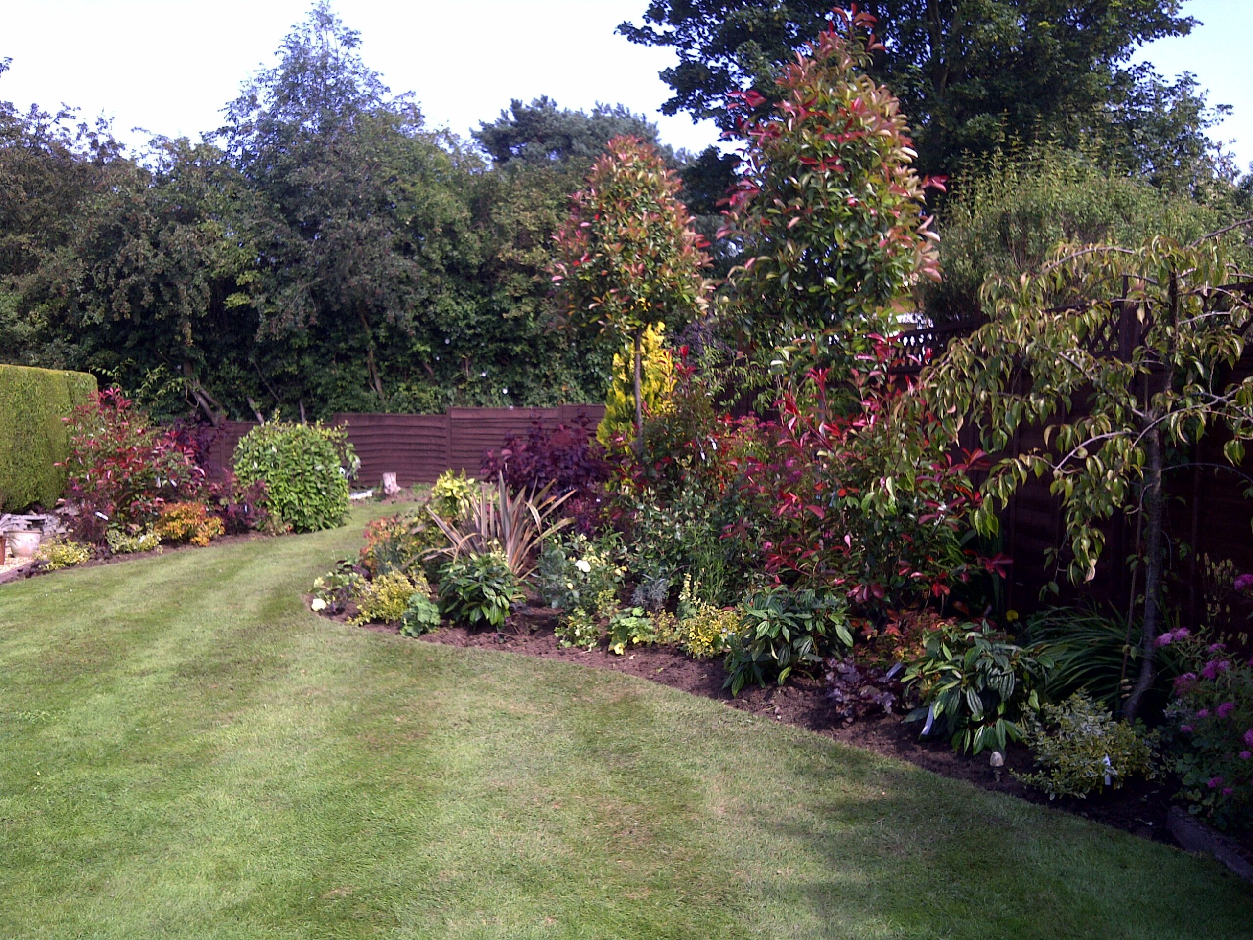 From bare grass to this in a single day