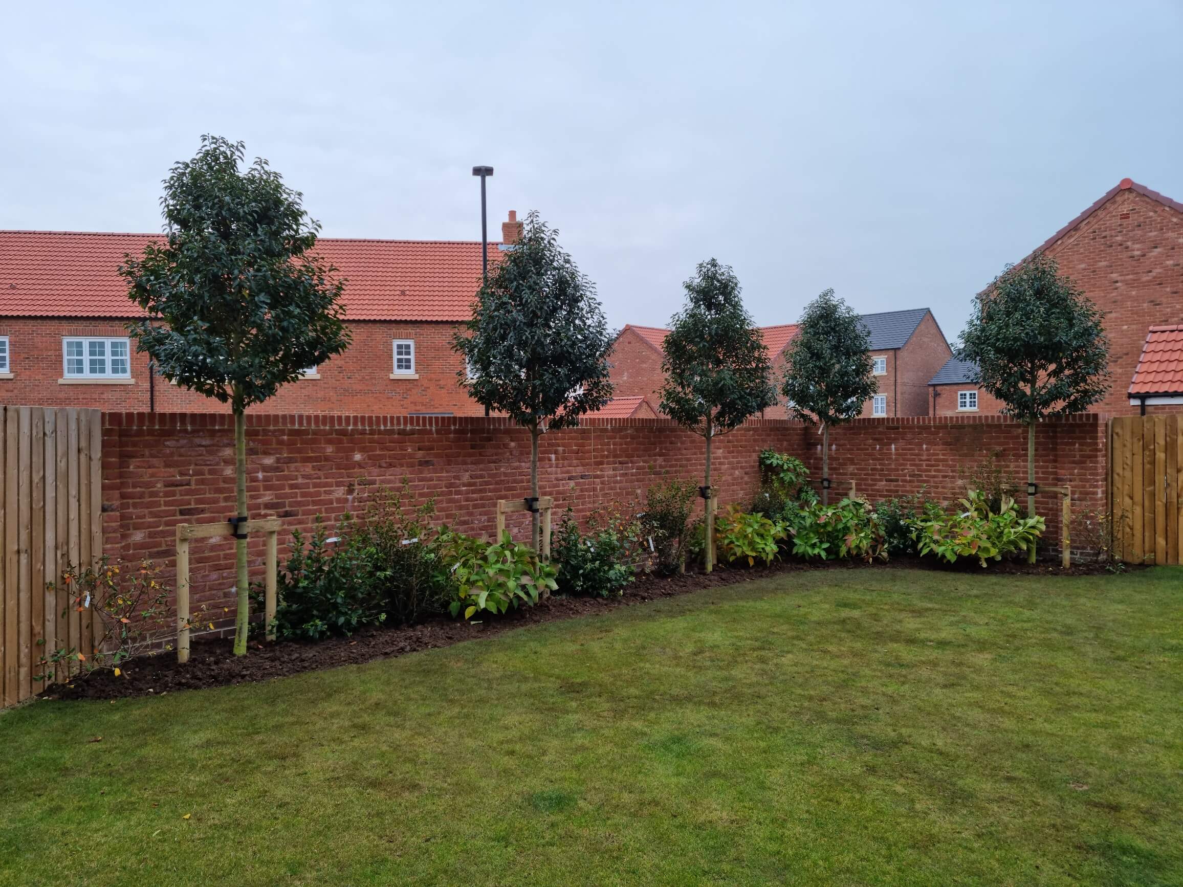 Garden after mature trees