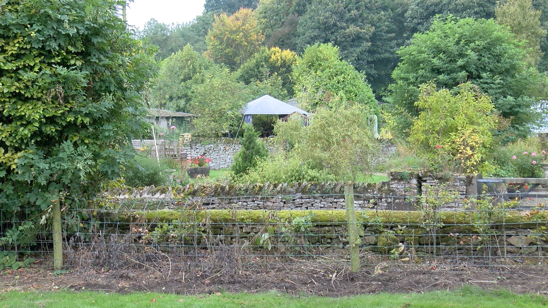 Garden before laurel hedge