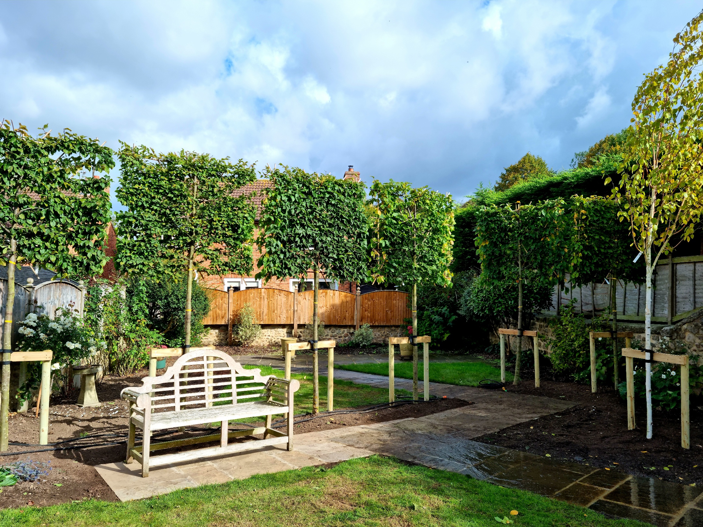 Pleached Hornbeam trees add style and screening