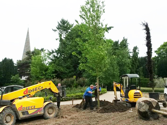Tree planting - including diggers
